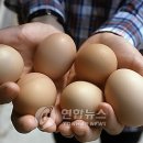 원대농장 이미지