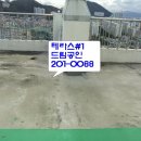 동조리젠시 이미지