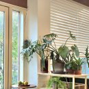 하성 | 김포 하성 카페, ‘그린케이브’ 방문 후기