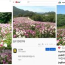 임실군청 이미지