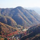 11월 13일(수) 전남/장성 조선팔경 백암산 산행안내 이미지