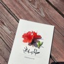 큰나무요양병원 이미지