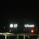 새신애드