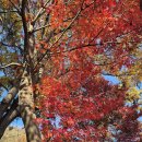 금지개공인중개사사무소 | 공인중개사 과태료 폭탄 예방은?