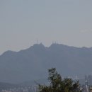 구 월 초 여드레 날 운세 이미지