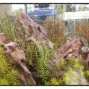 증평수족관 이미지