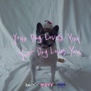 YOU DOG 이미지
