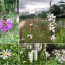 한남정맥 1 이미지