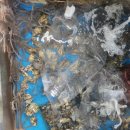 아재 수산 이미지