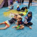 용인대 홍익 태권도장 이미지