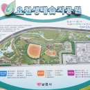 요천생태습지공원 주차장 이미지