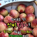 [또바기상회] 겉은 천도, 속은 백도?! 과즙 폭발 마법의 과일 '신비복숭아' 오픈 🍑