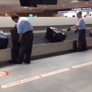 중앙한양대태권도 이미지