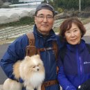 의구농장 네이버블로그