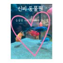신비유치원 | 가평 아이와가볼만한곳 추천 신비동물원 솔직 방문후기 가족나들이
