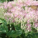 대전둘레산길(9구간) 이미지