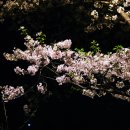 묵고갈래솥뚜껑삼겹살 이미지