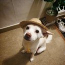 뉴타운경희한의원 이미지