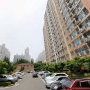 서광동물병원 이미지