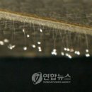 동구청 본관 이미지