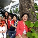 성민복지관 이미지