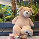 에이바우트커피 구미봉곡점 | [구미/봉곡동 카페] 24시간 영업, 제주 감성 물씬 나는 카페 &#34;에이바우트커피 구미 봉곡점&#34;