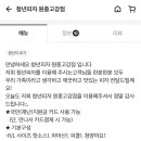 청년피자원종고강점 이미지