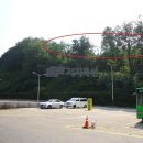 강남-251 이미지