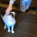 도래마을 옛집