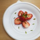 석양초등학교 Daum카페
