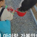 정승농장 이미지