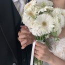 [웨딩촬영 준비] 구미 '네일정거장' 후기｜2만원대 웨딩네일&네일아트
