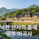<형태의 속삭임> | 🕊️ 고즈넉한 산사의 품에 안겨, 공주 마곡사가 들려주는 천년의 속삭임 🕊️