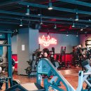 매드볼릭 휘트니스1 | 운동 맛집 제대로 찾았다! 배곧헬스장 매드볼릭 방문 후기