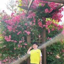 베말공원 이미지