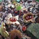 산이축산 이미지