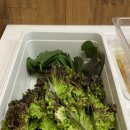 맛나상회 | 가양역맛집 [화로상회] 불경기고물가에도 손님많은 무한리필 고기집