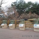 신성리 공룡발자국 이미지