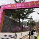 원미부흥시장 | [원미산 진달래동산] 부천 가볼 만한 곳 3월 말 진달래 개화 상황 개화 시기
