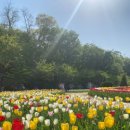 선우공원 생태연못 화장실 | 부천자연생태공원 봄 나들이- 입장료, 주차 정보 등(튤립+올챙이 관찰)