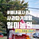 일미농원 이미지