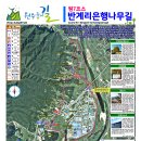 은행나무주유소 이미지