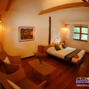 파라다이스 클럽 이미지