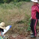 월야농장 이미지