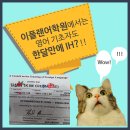 스터디숨학원 이미지