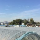 진관2리 (본진관) 이미지