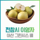 전참시 이영자 아산 그린시스 배 맛 가격 수확시기! 초록배의 모든 것