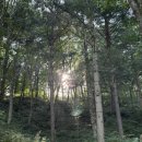 대두목장 이미지