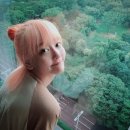다나서비스 이미지