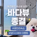 광안해변로L 이미지